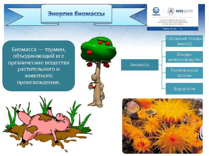 Био Биомасса — термин, объединяющий все органические вещества растительного и животного происхождения. Городские отходы
