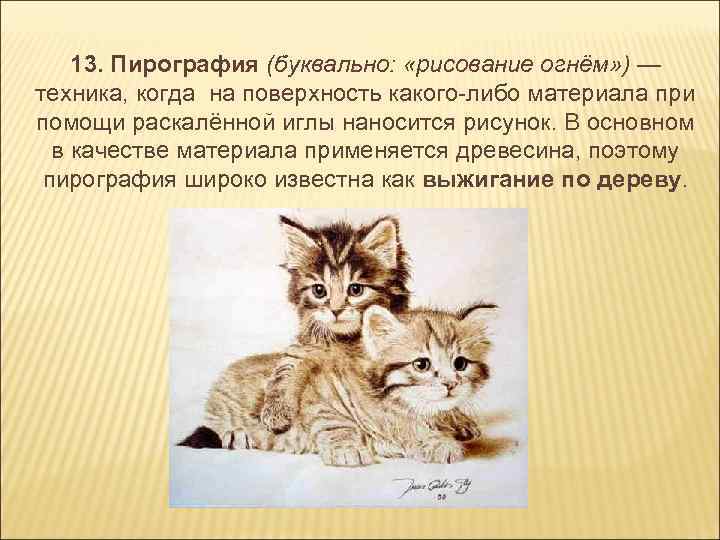 13. Пирография (буквально: «рисование огнём» ) — техника, когда на поверхность какого-либо материала при