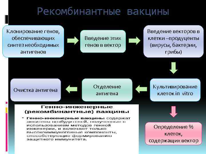 Рекомбинантные вакцины Клонирование генов, обеспечивающих синтез необходимых антигенов Очистка антигена Введение этих генов в