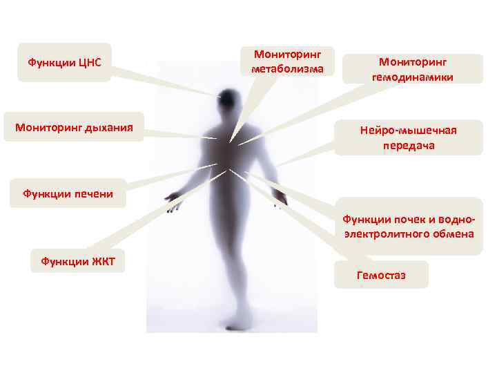 Функции ЦНС Мониторинг дыхания Мониторинг метаболизма Мониторинг гемодинамики Нейро-мышечная передача Функции печени Функции почек