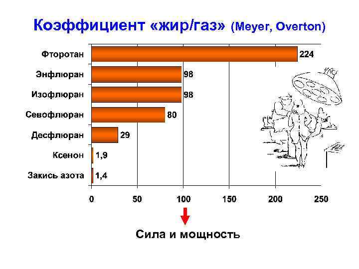 Коэффициент «жир/газ» (Meyer, Overton) Сила и мощность 