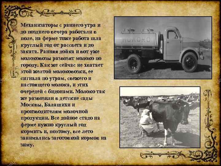 Механизаторы с раннего утра и до позднего вечера работали в поле, на ферме тоже