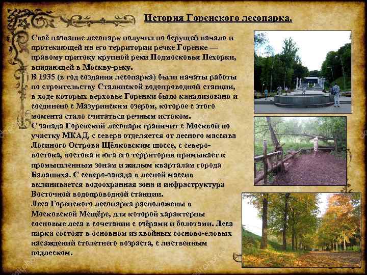 История Горенского лесопарка. Своё название лесопарк получил по берущей начало и протекающей на его