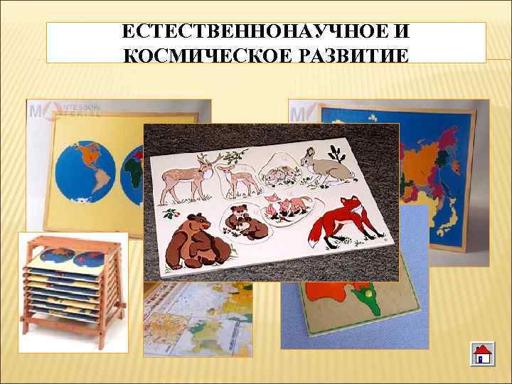 ЕСТЕСТВЕННОНАУЧНОЕ И КОСМИЧЕСКОЕ РАЗВИТИЕ 