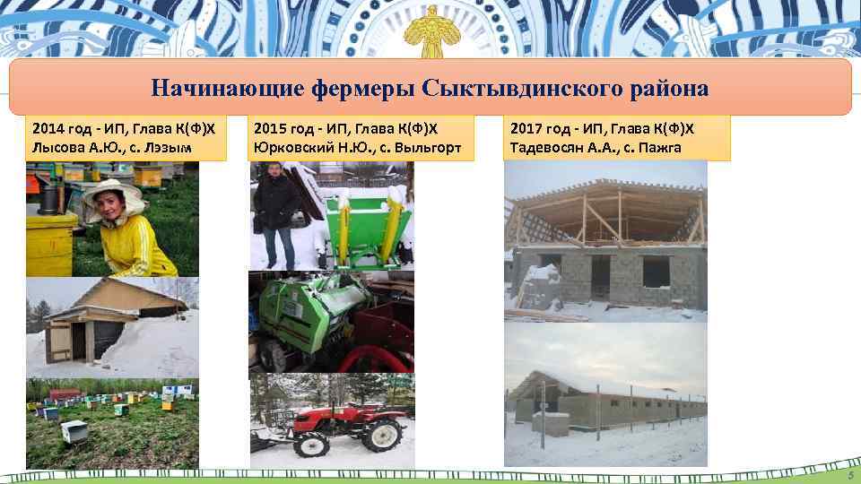  Начинающие фермеры Сыктывдинского района 2014 год - ИП, Глава К(Ф)Х Лысова А. Ю.