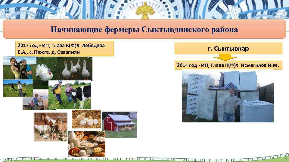 Начинающие фермеры Сыктывдинского района 2017 год - ИП, Глава К(Ф)Х Лебедева Е. А. ,