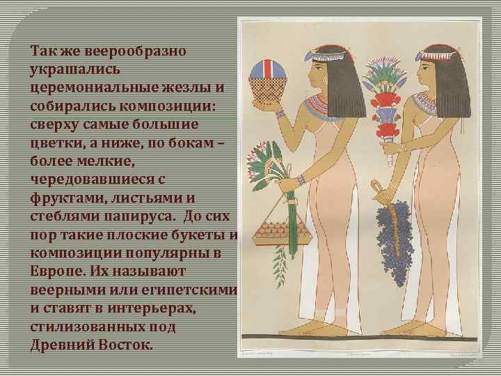 История флористики презентация