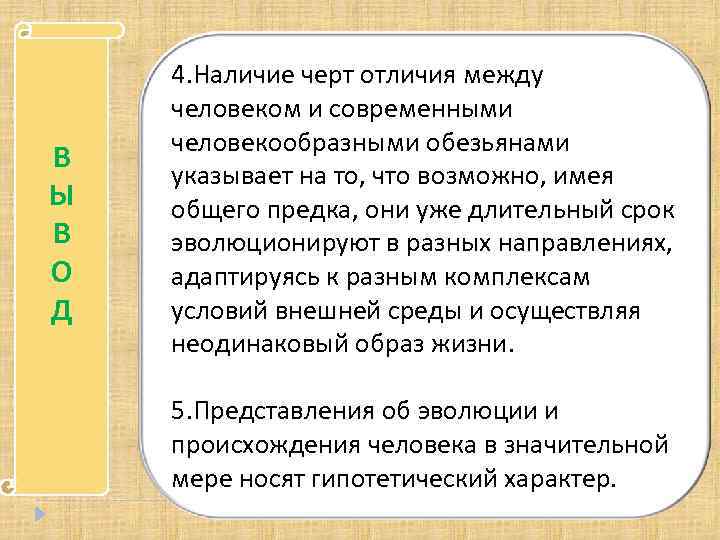 В Ы В О Д 4. Наличие черт отличия между человеком и современными человекообразными