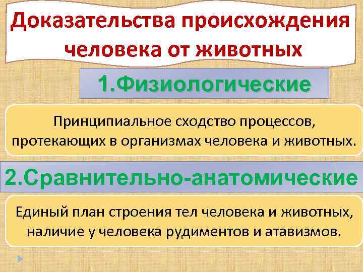 Доказательства происхождения человека от животных 1. Физиологические Принципиальное сходство процессов, протекающих в организмах человека