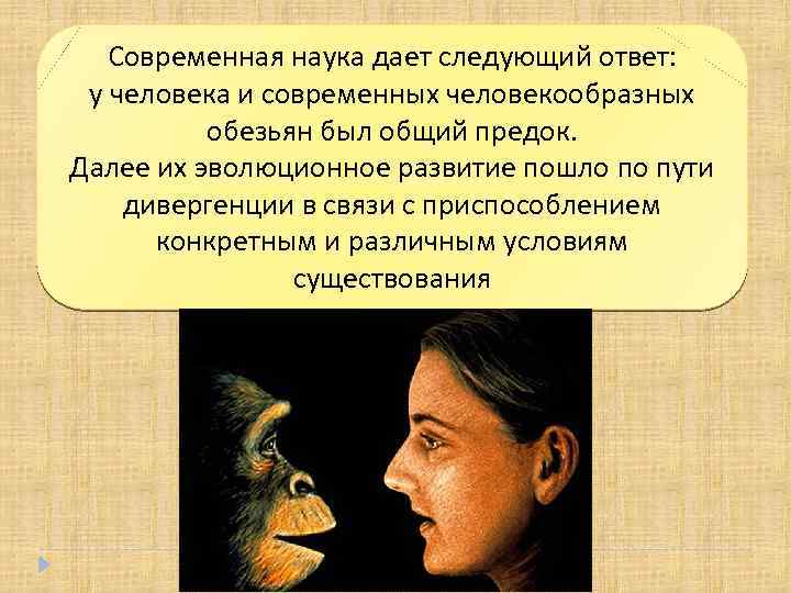 Современная наука дает следующий ответ: у человека и современных человекообразных обезьян был общий предок.