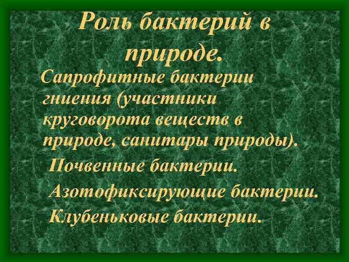 Роль бактерий в природе. Сапрофитные бактерии гниения (участники круговорота веществ в природе, санитары природы).