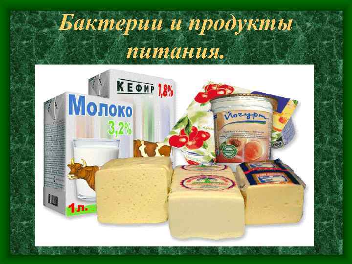 Бактерии и продукты питания. 