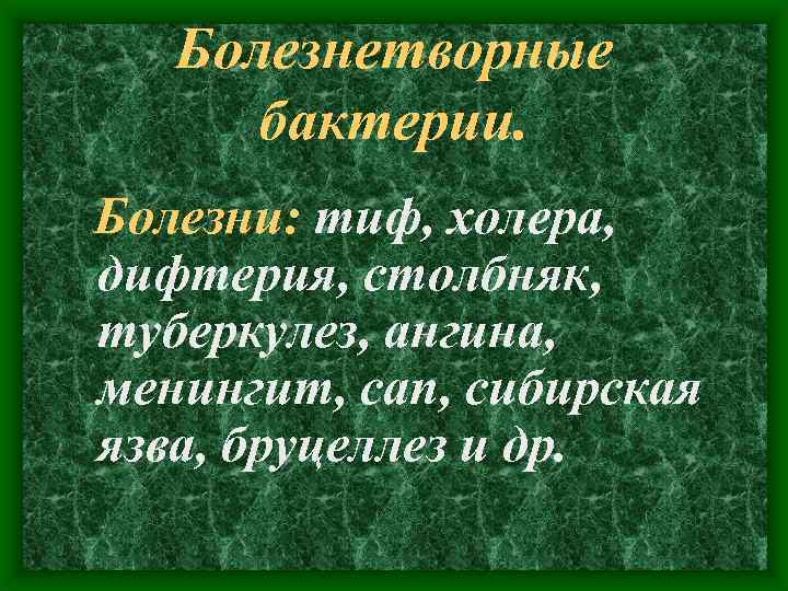 Болезнетворные бактерии. Болезни: тиф, холера, дифтерия, столбняк, туберкулез, ангина, менингит, сап, сибирская язва, бруцеллез