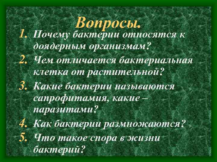 Вопросы. 1. Почему бактерии относятся к 2. 3. 4. 5. доядерным организмам? Чем отличается