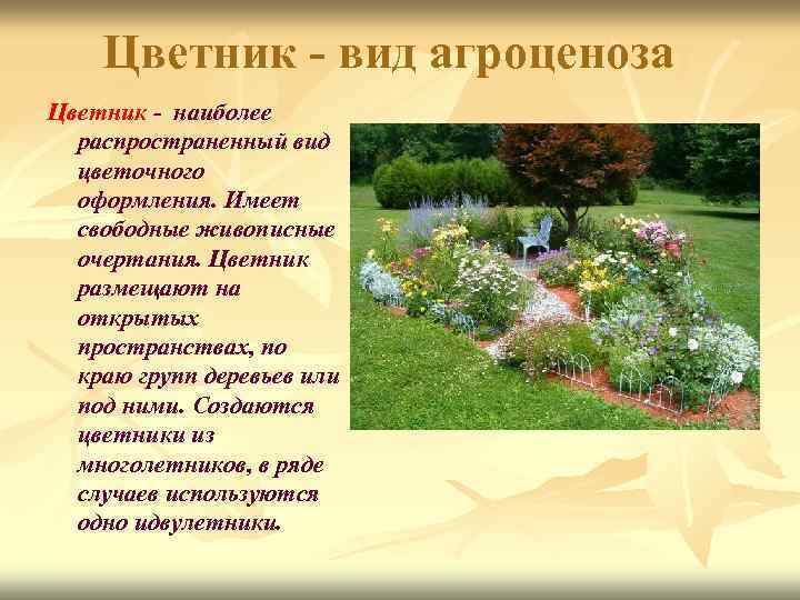 Цветник - вид агроценоза Цветник - наиболее распространенный вид цветочного оформления. Имеет свободные живописные
