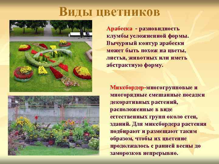Виды цветников Арабеска - разновидность клумбы усложненной формы. Вычурный контур арабески может быть похож