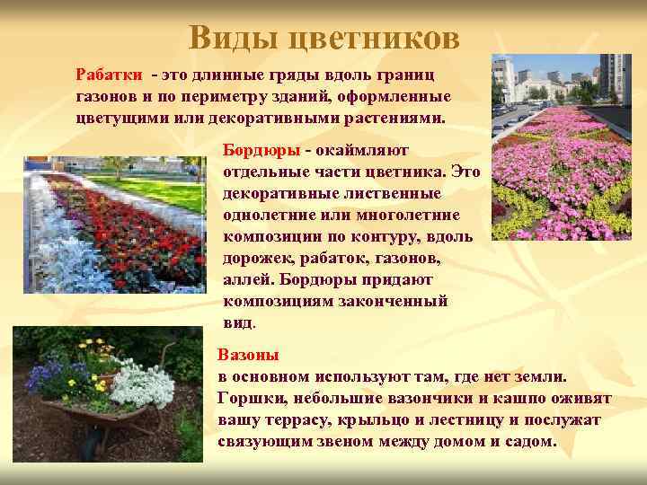 Виды цветников Рабатки - это длинные гряды вдоль границ газонов и по периметру зданий,