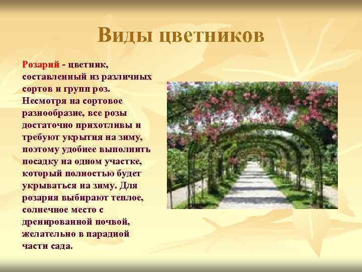 Виды цветников Розарий - цветник, составленный из различных сортов и групп роз. Несмотря на