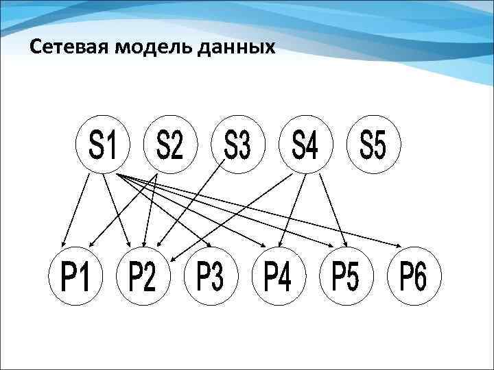Сетевая модель данных 