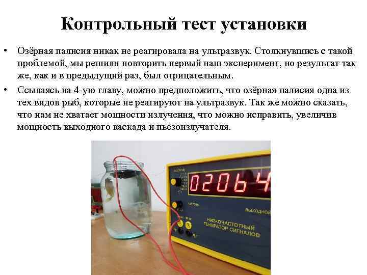 Контрольный тест установки • Озёрная палисия никак не реагировала на ультразвук. Столкнувшись с такой