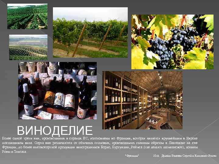 ВИНОДЕЛИЕ Более одной трети вин, производимых в странах ЕС, изготовлены во Франции, которая является