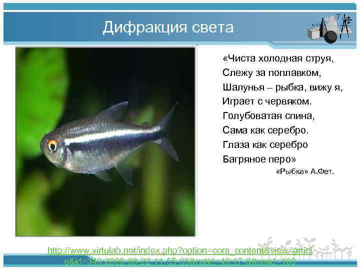 Дифракция света «Чиста холодная струя, Слежу за поплавком, Шалунья – рыбка, вижу я, Играет