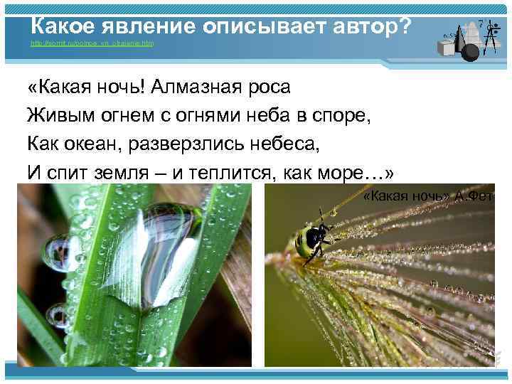 Какое явление описывает автор? http: //somit. ru/polnoe_vn_otrajenie. htm «Какая ночь! Алмазная роса Живым огнем