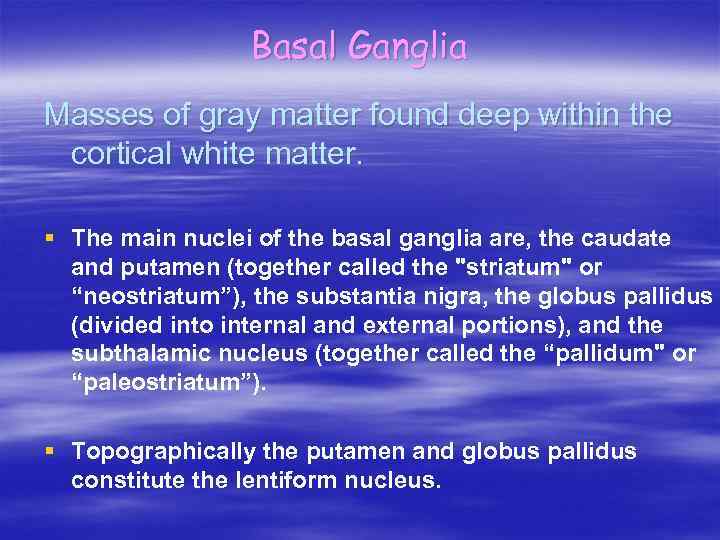 Basal Ganglia Masses of gray matter found deep within the cortical white matter. §