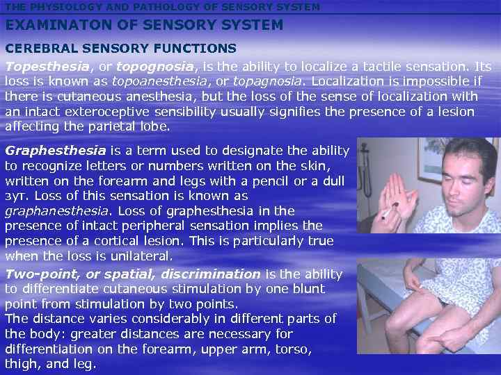 THE PHYSIOLOGY AND PATHOLOGY OF SENSORY SYSTEM EXAMINATON OF SENSORY SYSTEM CEREBRAL SENSORY FUNCTIONS