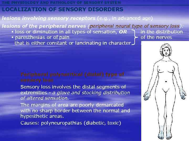 THE PHYSIOLOGY AND PATHOLOGY OF SENSORY SYSTEM LOCALIZATION OF SENSORY DISORDERS lesions involving sensory