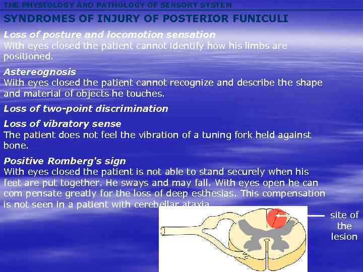 THE PHYSIOLOGY AND PATHOLOGY OF SENSORY SYSTEM SYNDROMES OF INJURY OF POSTERIOR FUNICULI Loss