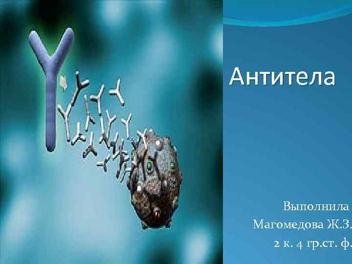 Антитела Выполнила Магомедова Ж. З. 2 к. 4 гр. ст. ф. 
