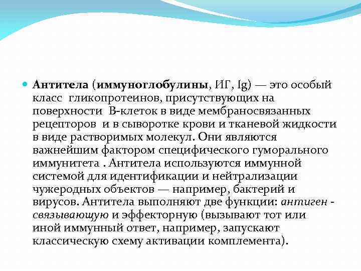  Антитела (иммуноглобулины, ИГ, Ig) — это особый класс гликопротеинов, присутствующих на поверхности В-клеток