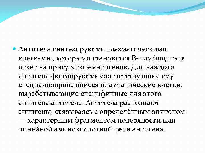  Антитела синтезируются плазматическими клетками , которыми становятся В-лимфоциты в ответ на присутствие антигенов.