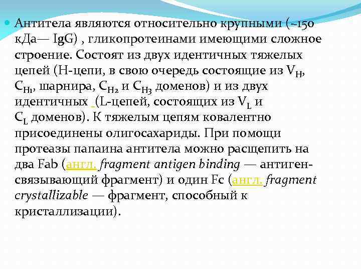  Антитела являются относительно крупными (~150 к. Да— Ig. G) , гликопротеинами имеющими сложное