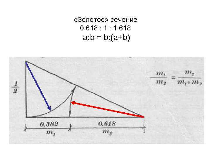  «Золотое» сечение 0. 618 : 1. 618 a: b = b: (a+b) 