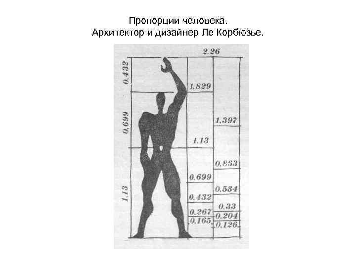 4 пропорции. Ле Корбюзье пропорции человека. Пропорции человека. Архитектурные пропорции человека. Пропорции человеческого тела центр тяжести.