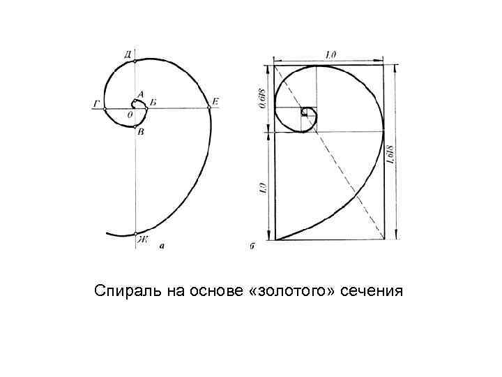 Спираль на основе «золотого» сечения 