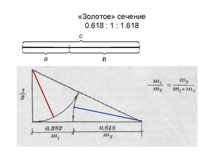 Чертеж соотношение. Золотое сечение высота крыши. 1.618 Золотое сечение. Золотое сечение высота крыши дома. 0 618 Золотое сечение.