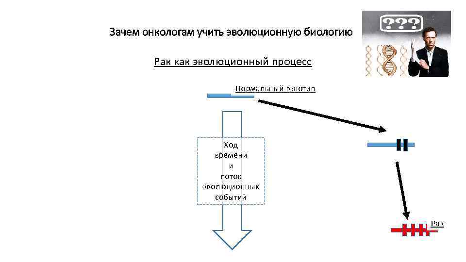 Зачем онкологам учить эволюционную биологию Рак как эволюционный процесс Нормальный генотип Ход времени и