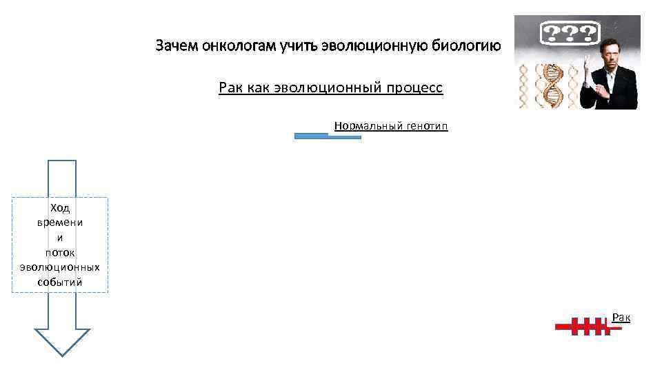 Зачем онкологам учить эволюционную биологию Рак как эволюционный процесс Нормальный генотип Ход времени и