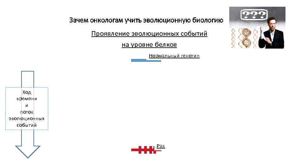 Зачем онкологам учить эволюционную биологию Проявление эволюционных событий на уровне белков Нормальный генотип Ход