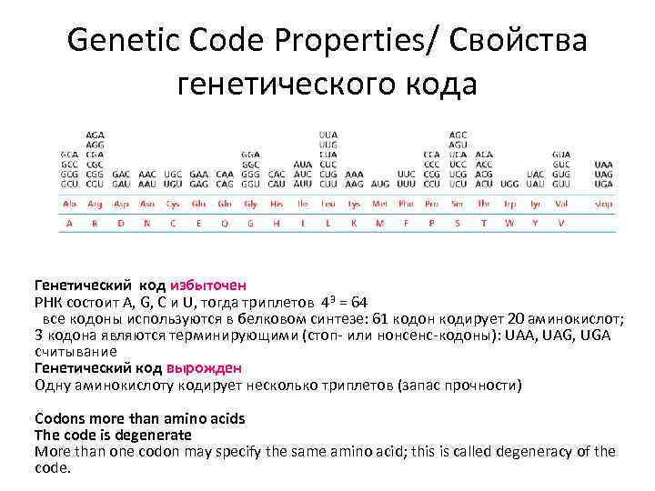 Genetic Code Properties/ Свойства генетического кода Генетический код избыточен РНК состоит A, G, C