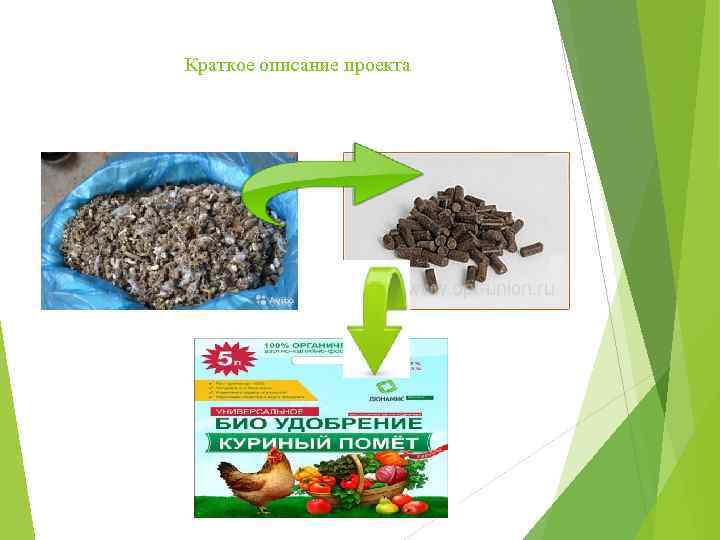 Краткое описание проекта 