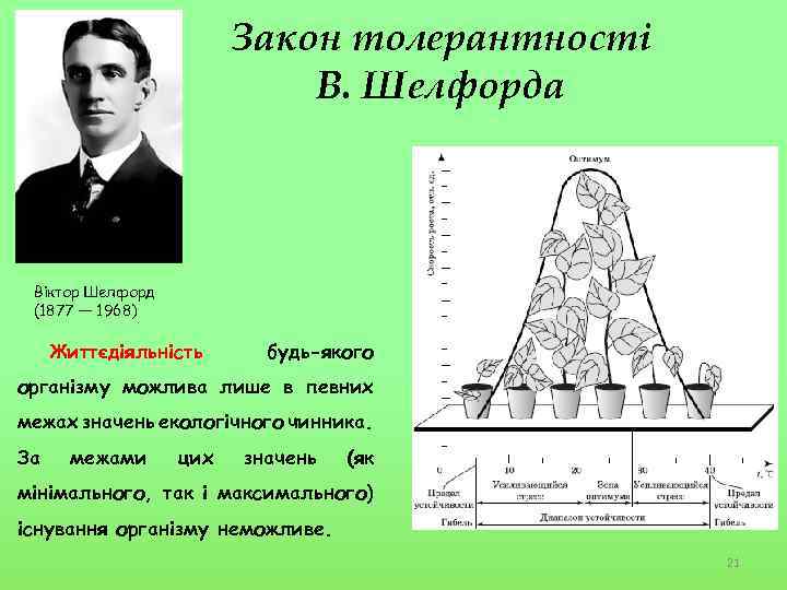 Закон толерантності В. Шелфорда Віктор Шелфорд (1877 — 1968) Життєдіяльність будь-якого організму можлива лише