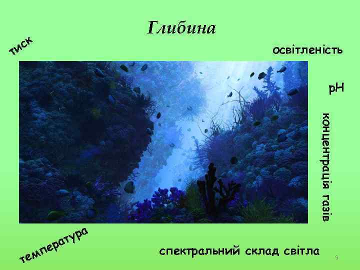 Глибина ск и освітленість т р. Н концентрація газів р пе тем ура ат