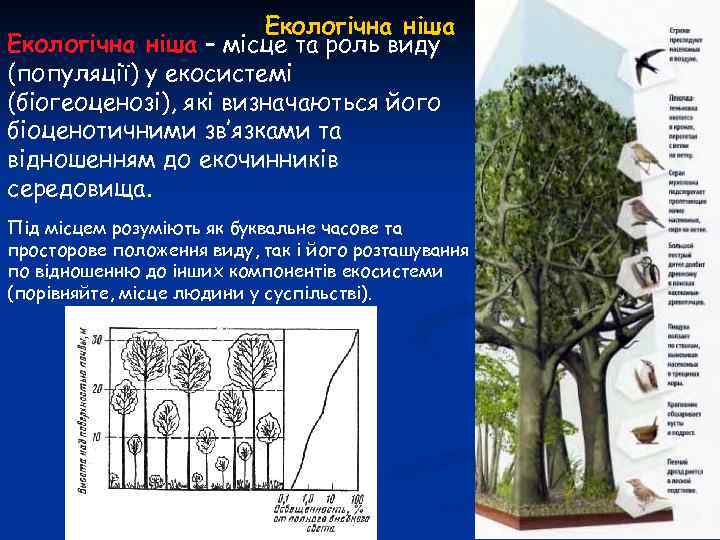 Екологічна ніша – місце та роль виду (популяції) у екосистемі (біогеоценозі), які визначаються його