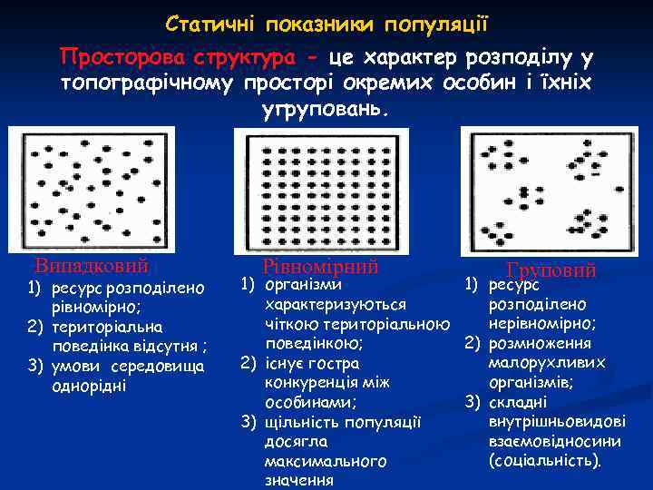Статичні показники популяції Просторова структура - це характер розподілу у топографічному просторі окремих особин