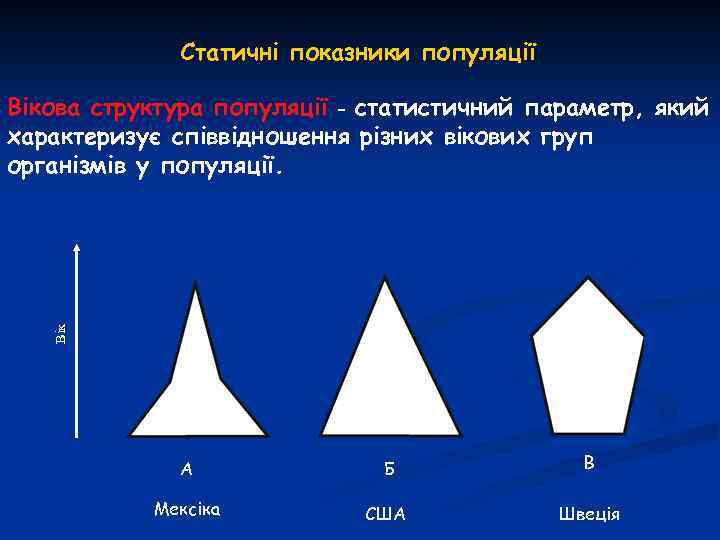 Статичні показники популяції Вікова структура популяції - статистичний параметр, який характеризує співвідношення різних вікових