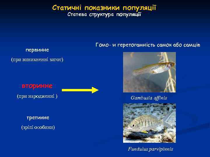 Статичні показники популяції Статева структура популяції первинне Гомо- и геретогамність самок або самців (при